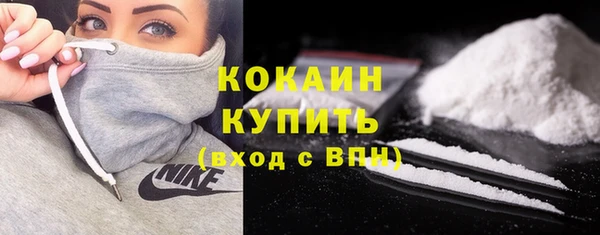 трава Белокуриха