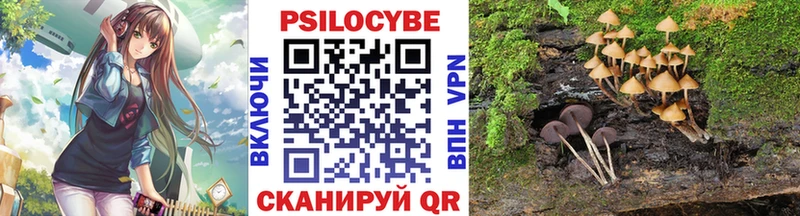 MEGA tor  как найти закладки  Шагонар  Галлюциногенные грибы Magic Shrooms 